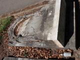 image of grave number 827287
